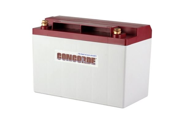 Concorde RG-35A Recombinant Gas Sealed Lead Acid Battery, 12V